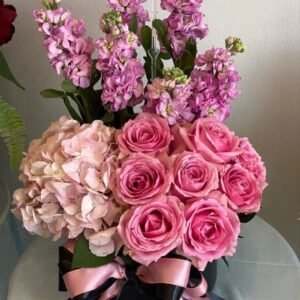 Box arrangement 12