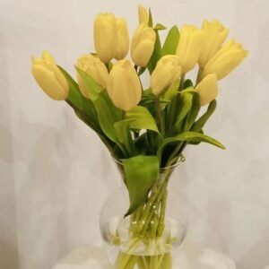 Natural Elegance