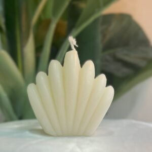 Big shell Mold Candle